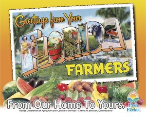 Greetings from Your Florida Farmers!